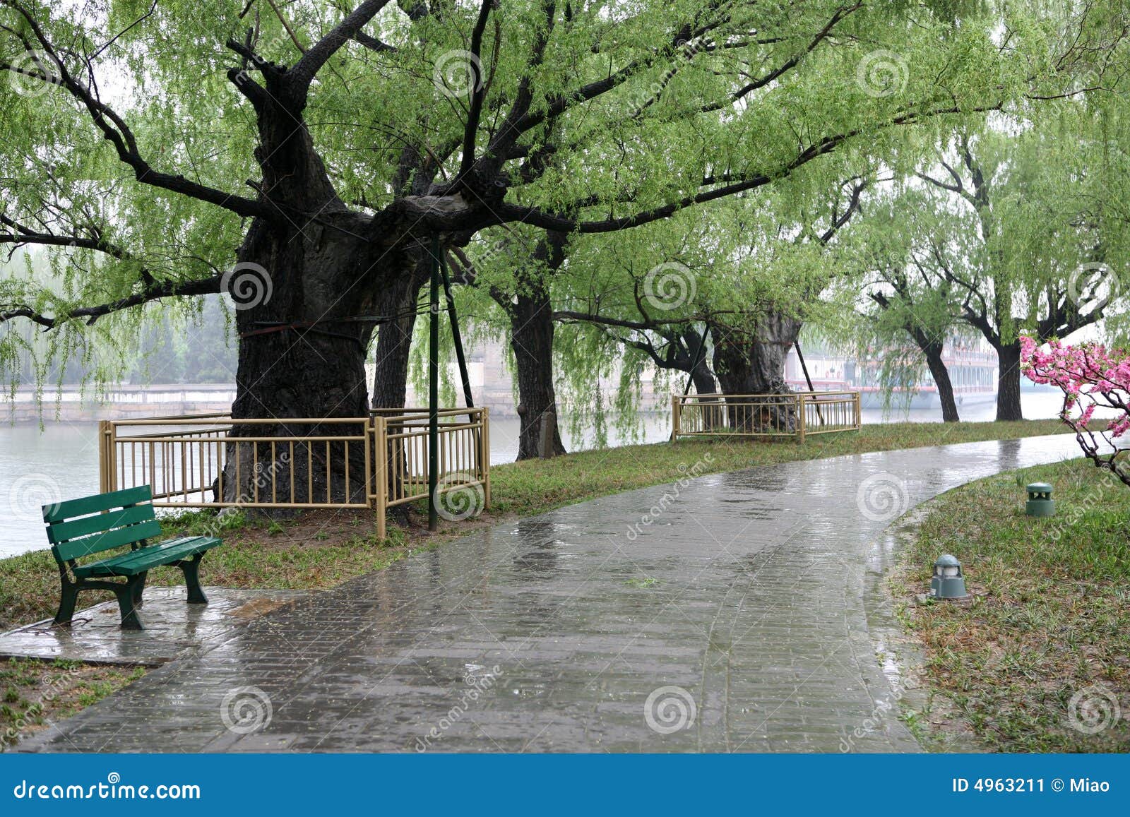 avenue after spring rain