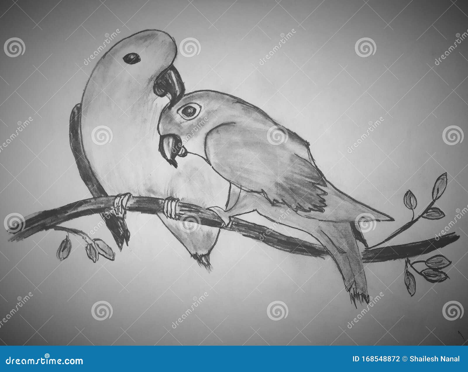 Aves amoradas stock de ilustración. Ilustración de romance - 168548872
