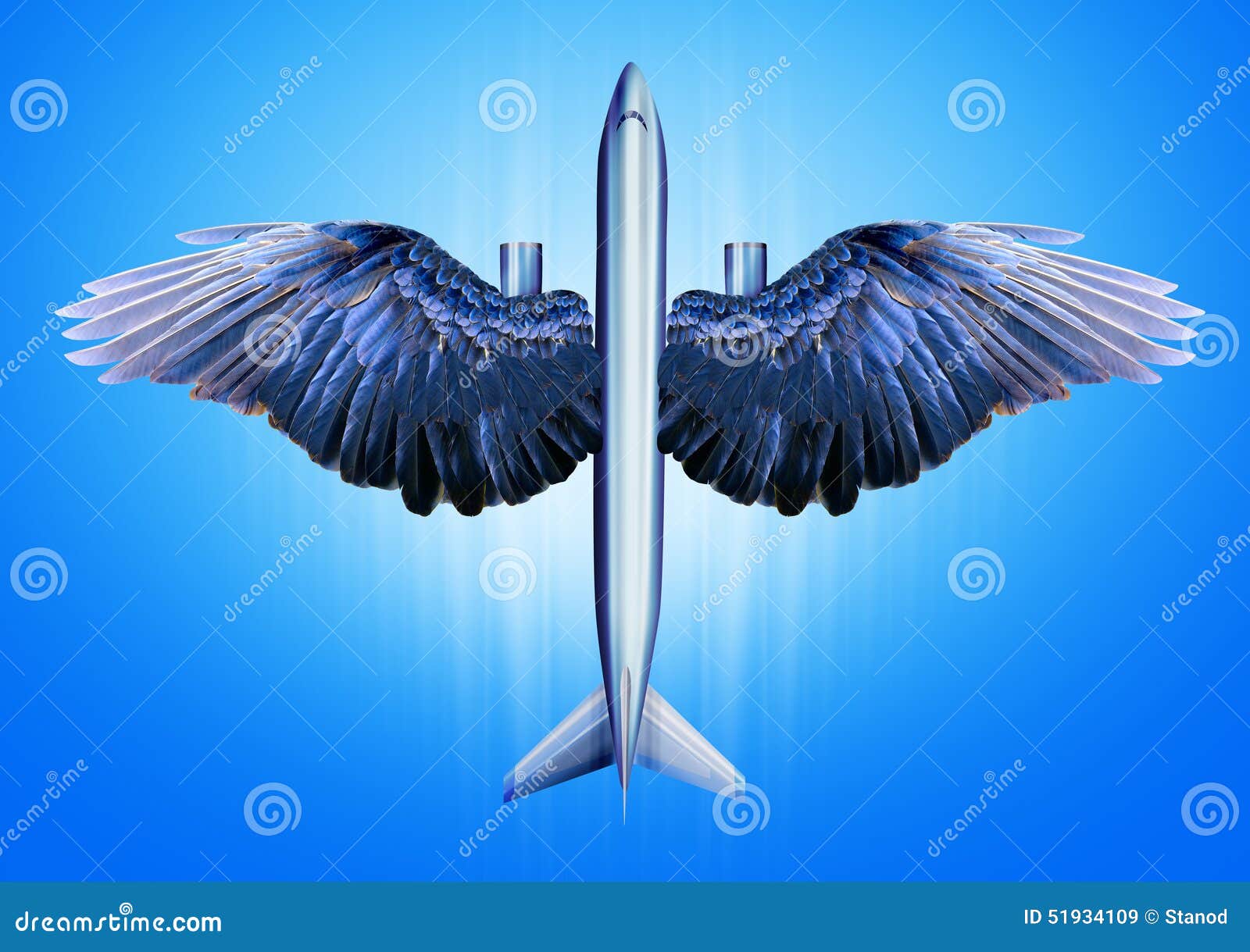 Стали птицы на крыло. Крыло птицы. Самолет с крыльями птицы. Птичье крыло. Крыло птицы и крыло самолета.