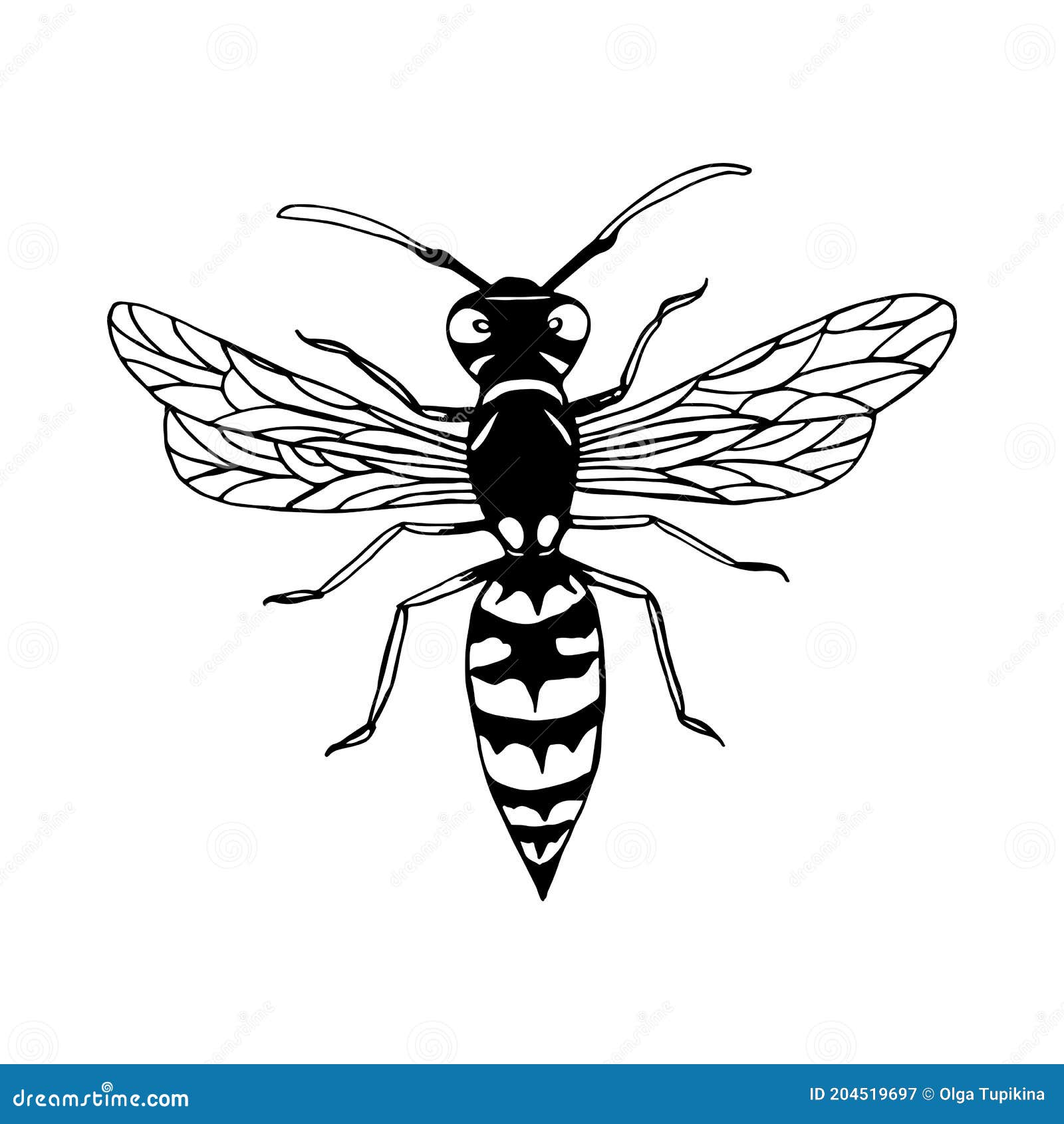 Avispa Dibujos Animados Boceto Estilo Insecto Para Colorear Página Aislado  En Blanco. Ilustración del Vector - Ilustración de bosquejo, abejorro:  204519697