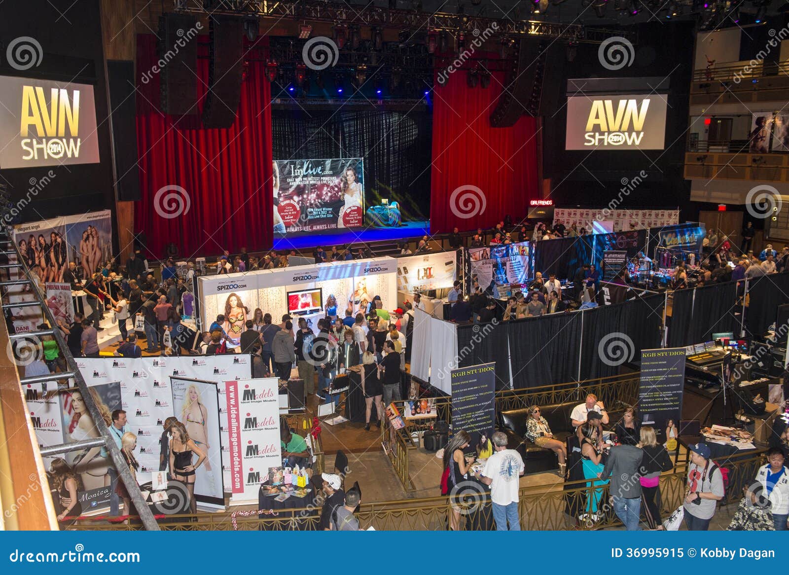 avn adult avn adult