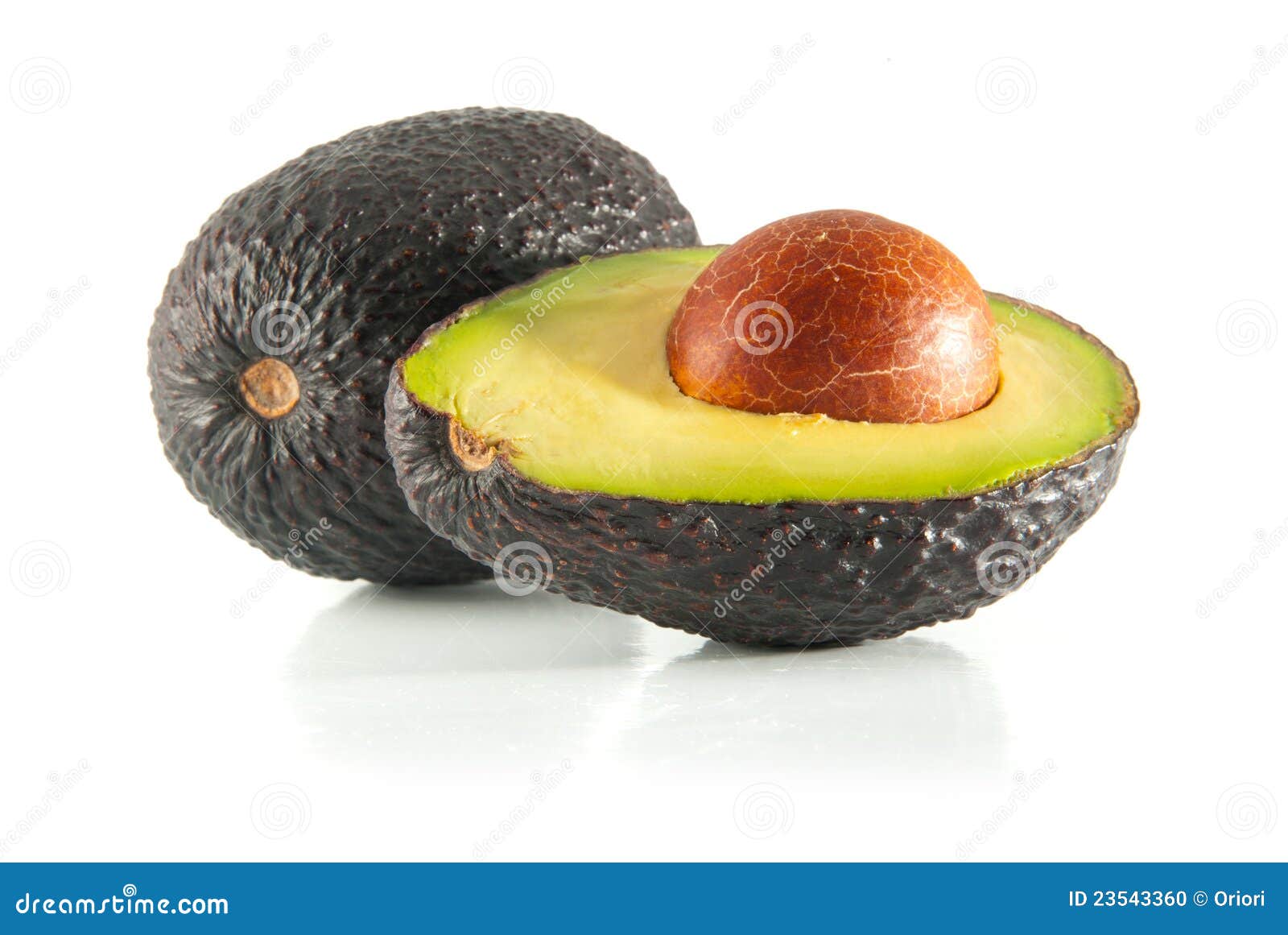 Isolated fresh avocado cut in half with seed