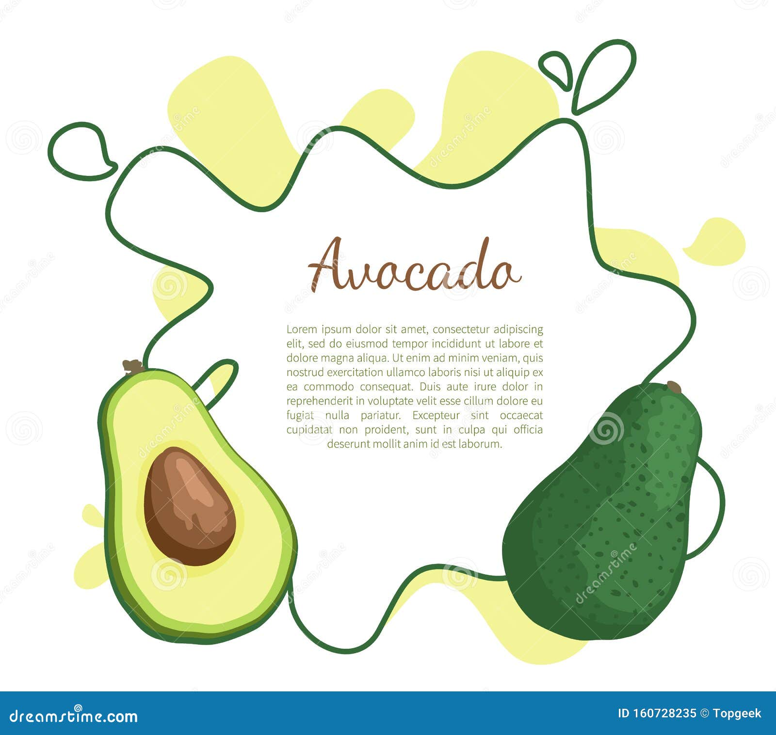 Avocado Alligator Pear Exotic Juicy Fruit Vector Stock Vector