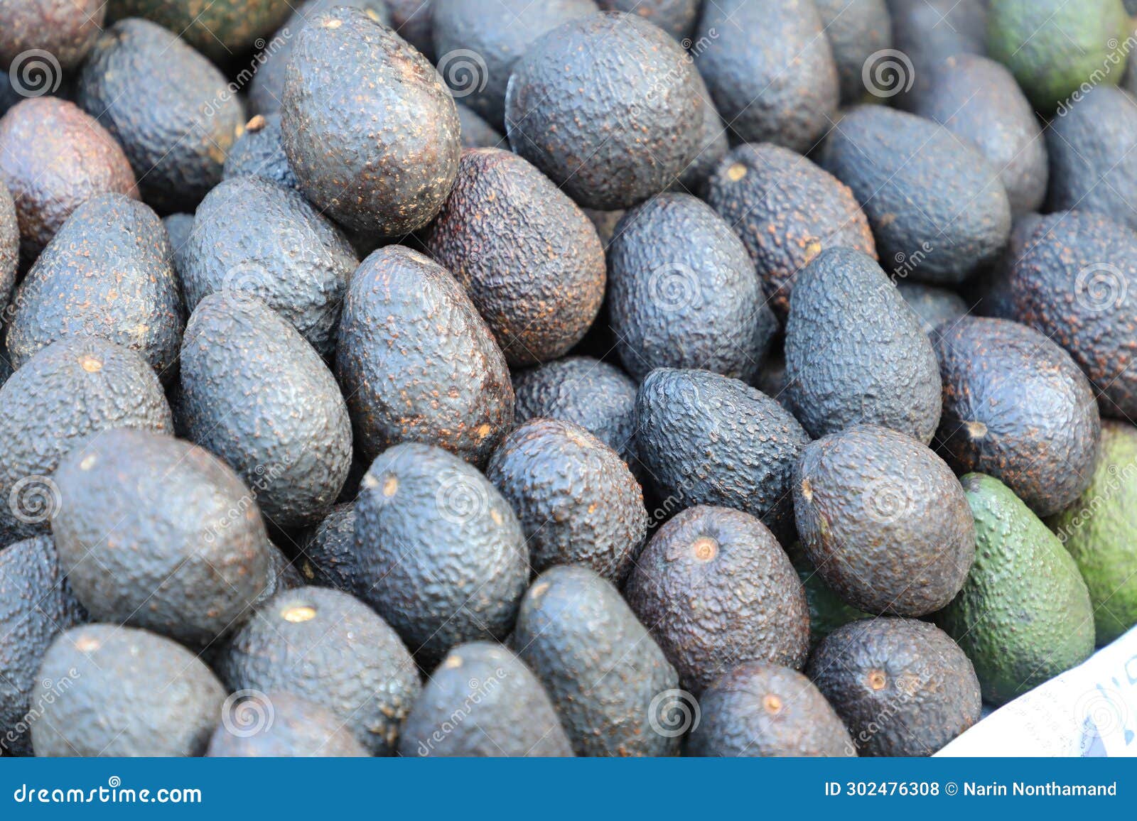 avocado also refers to the avocado tree's fruit, which is botanically a large berry containing a single seed.