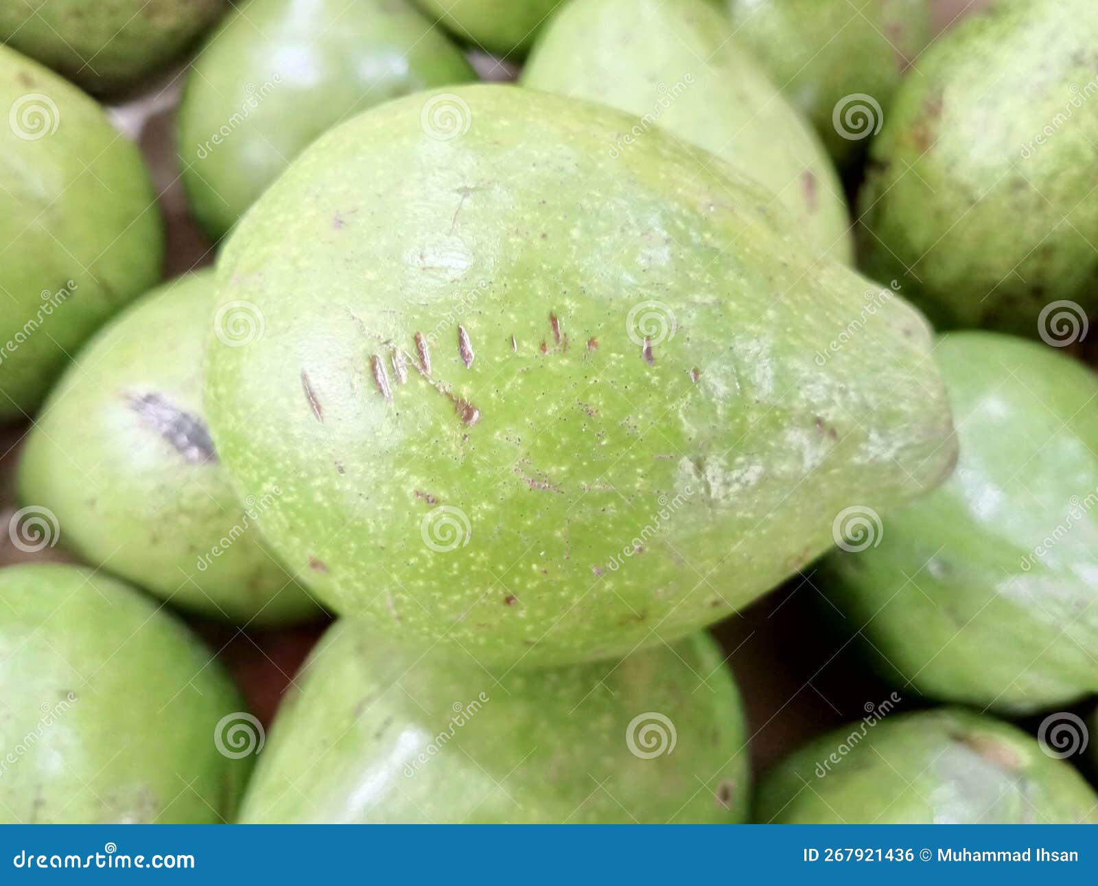 Avocado Fruit Has Many Vitamins and Tastes Delicious Stock Photo
