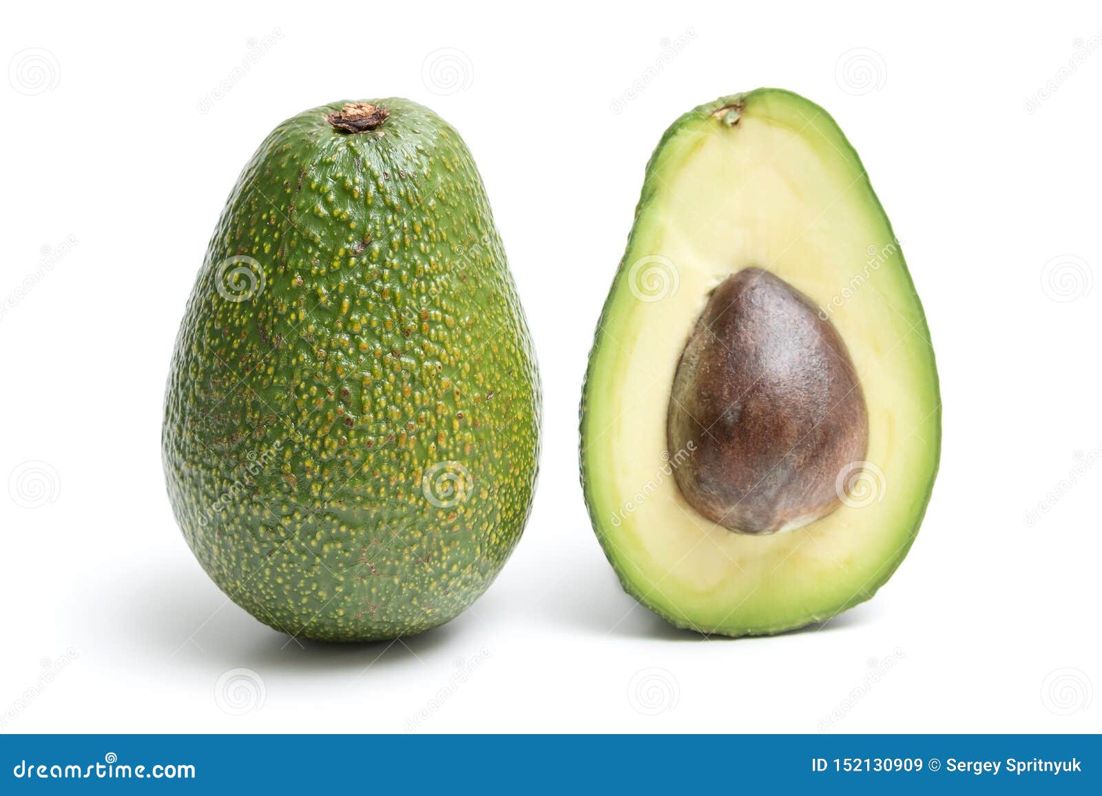 avocado  on a white background