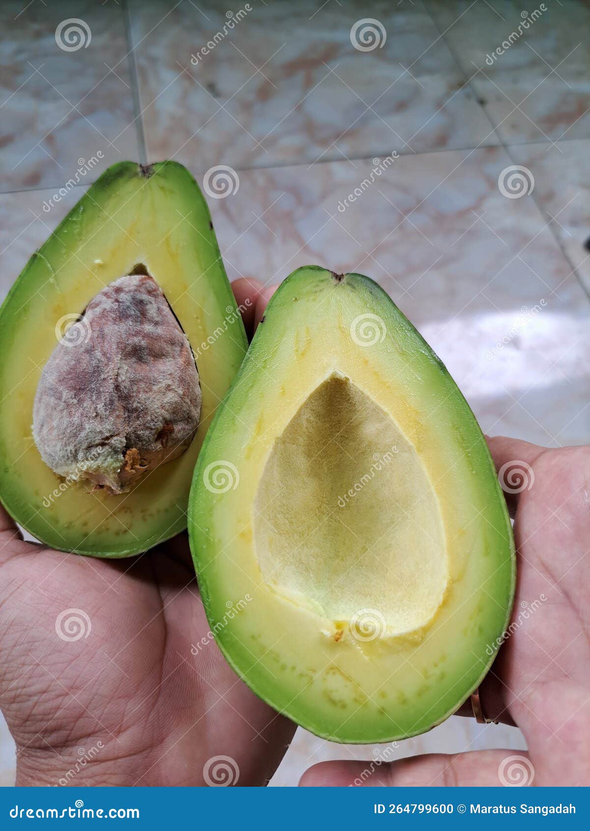 avocado mentega