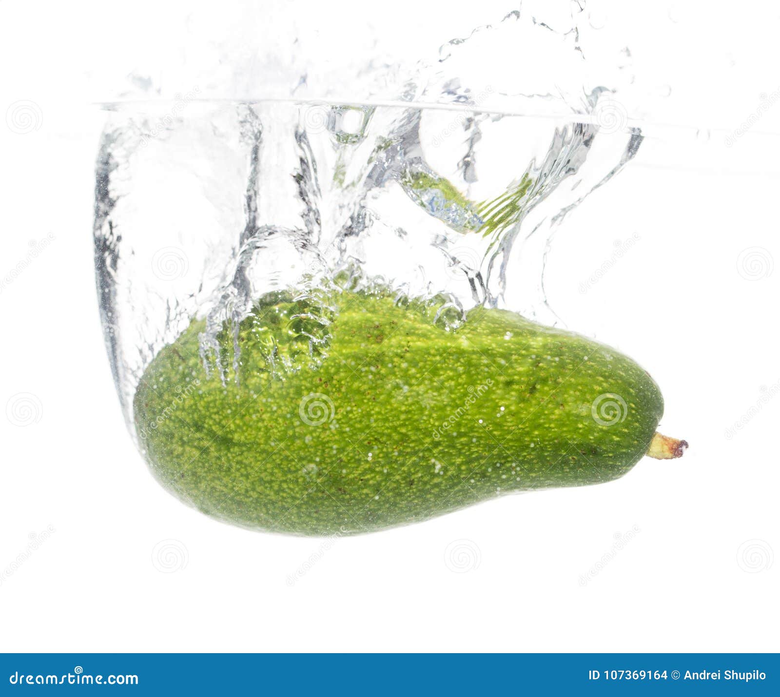 Avocado Under Water on a White Background Stock Photo Image of fruit