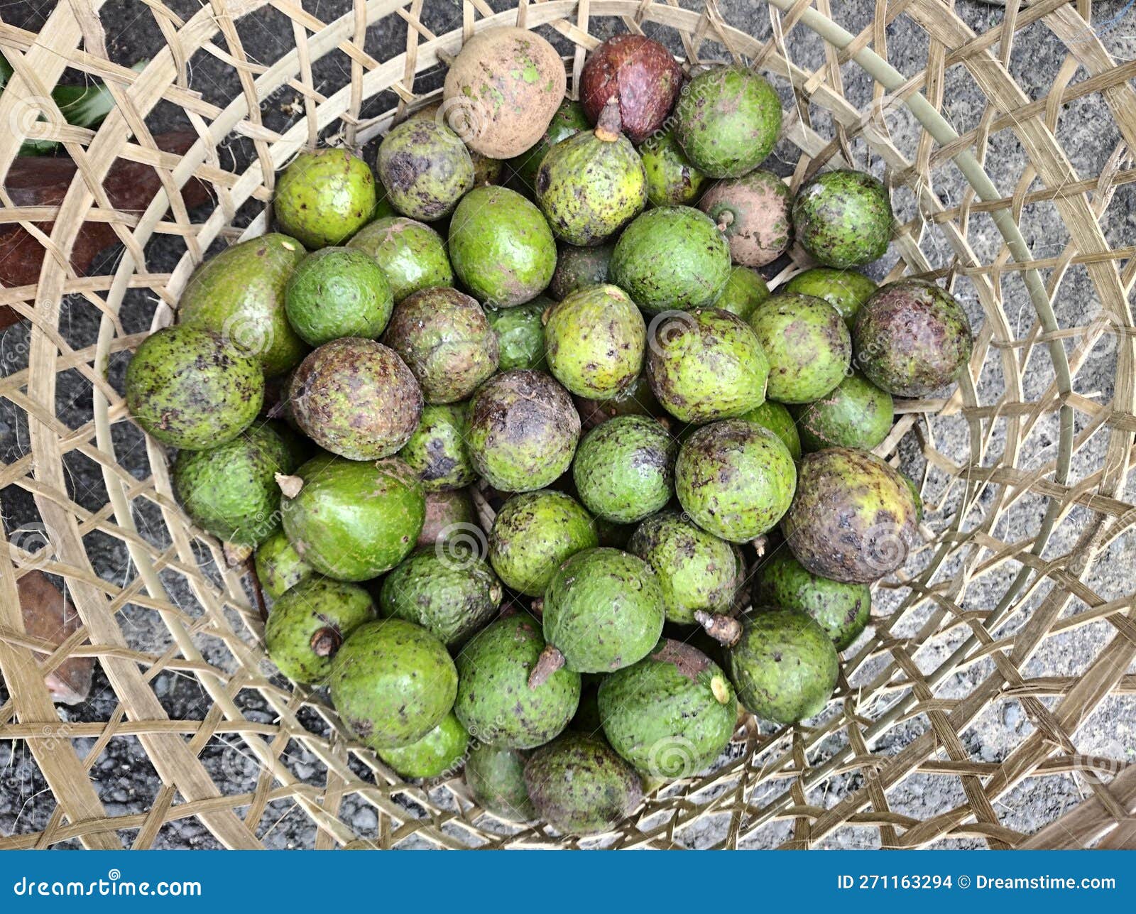 Avocados in a basket stock photo. Image of leaf, vegetarian 271163294