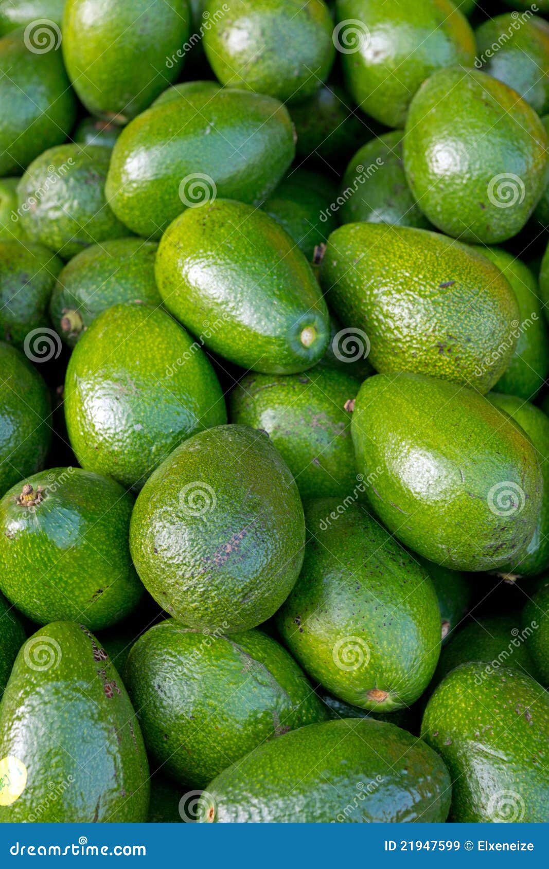 Avocados on a market stock image. Image of agriculture - 21947599