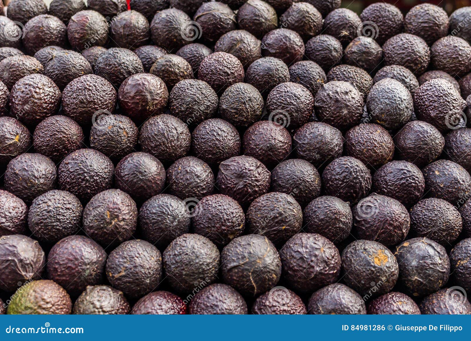 Avocados at a Market in Mexico Stock Photo - Image of avocados, flavor