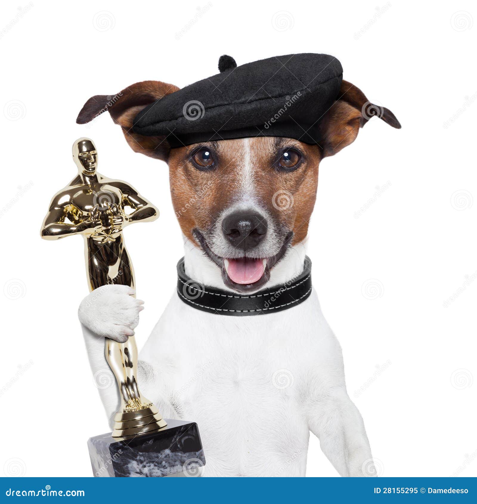 award-winner-dog-28155295