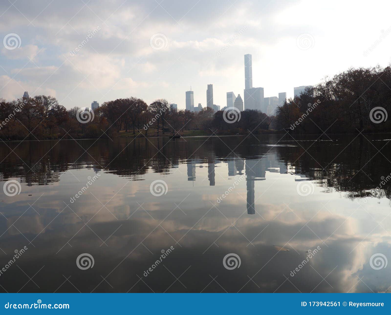 amazing landscape in ny.