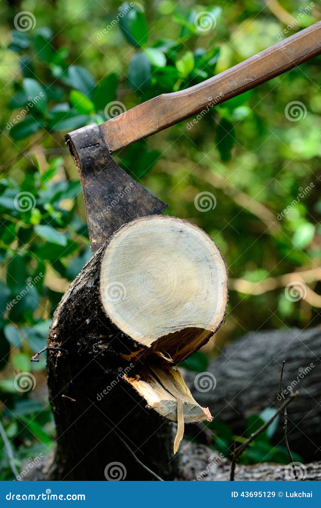 Axe stock image. Image of cutting, hack, tree, timber 43695129