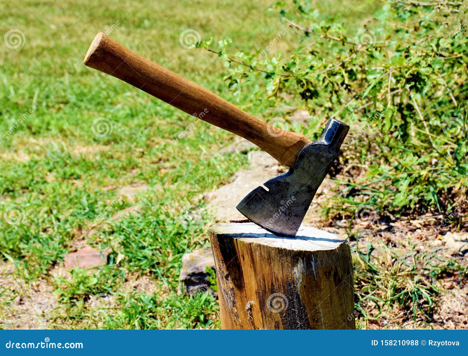 Axe in a tree stump stock photo. Image of camp, stuck 158210988