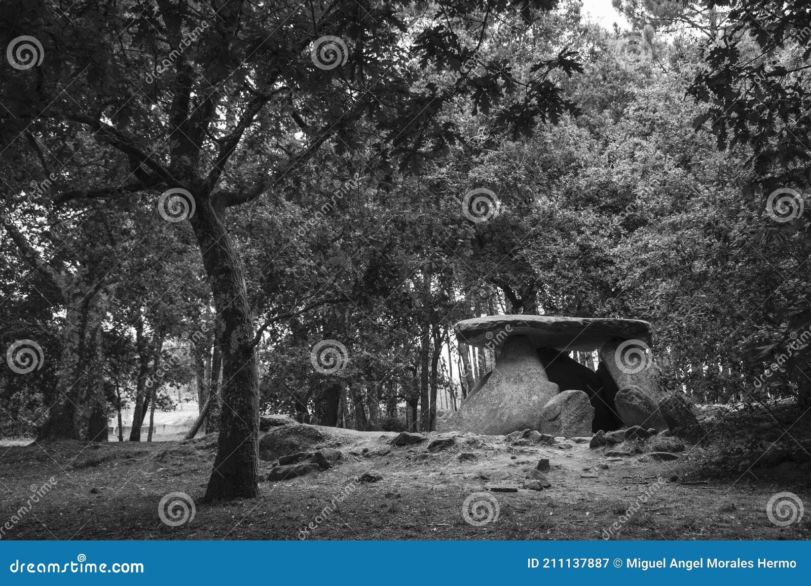 axeitos dolmen, a prehistoric megalithic construction located in the oleiros parish, riveira municipality, in the ria de arousa,