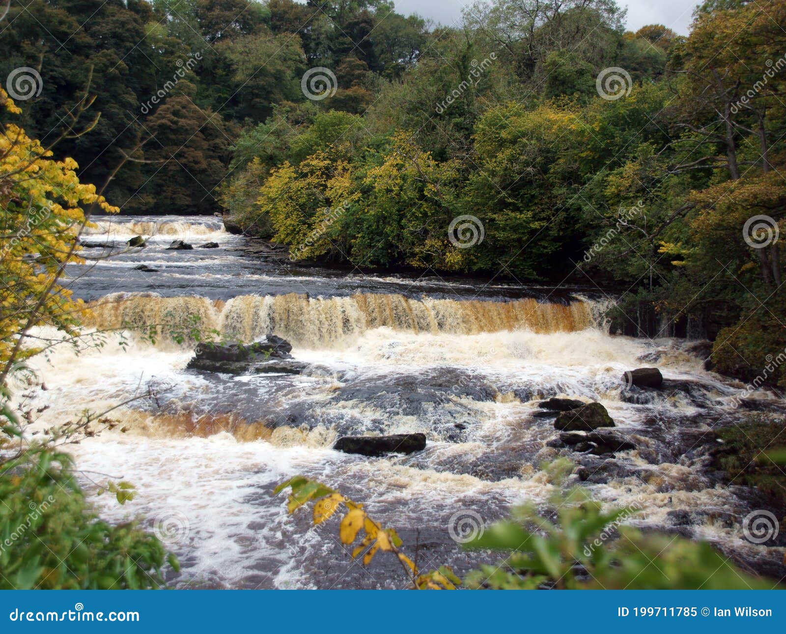 aysgarth falls - waterfall