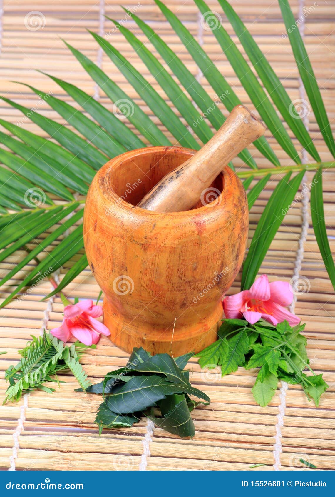 Ayurveda stock image. Image of shot, ayurveda, medicine 15526801