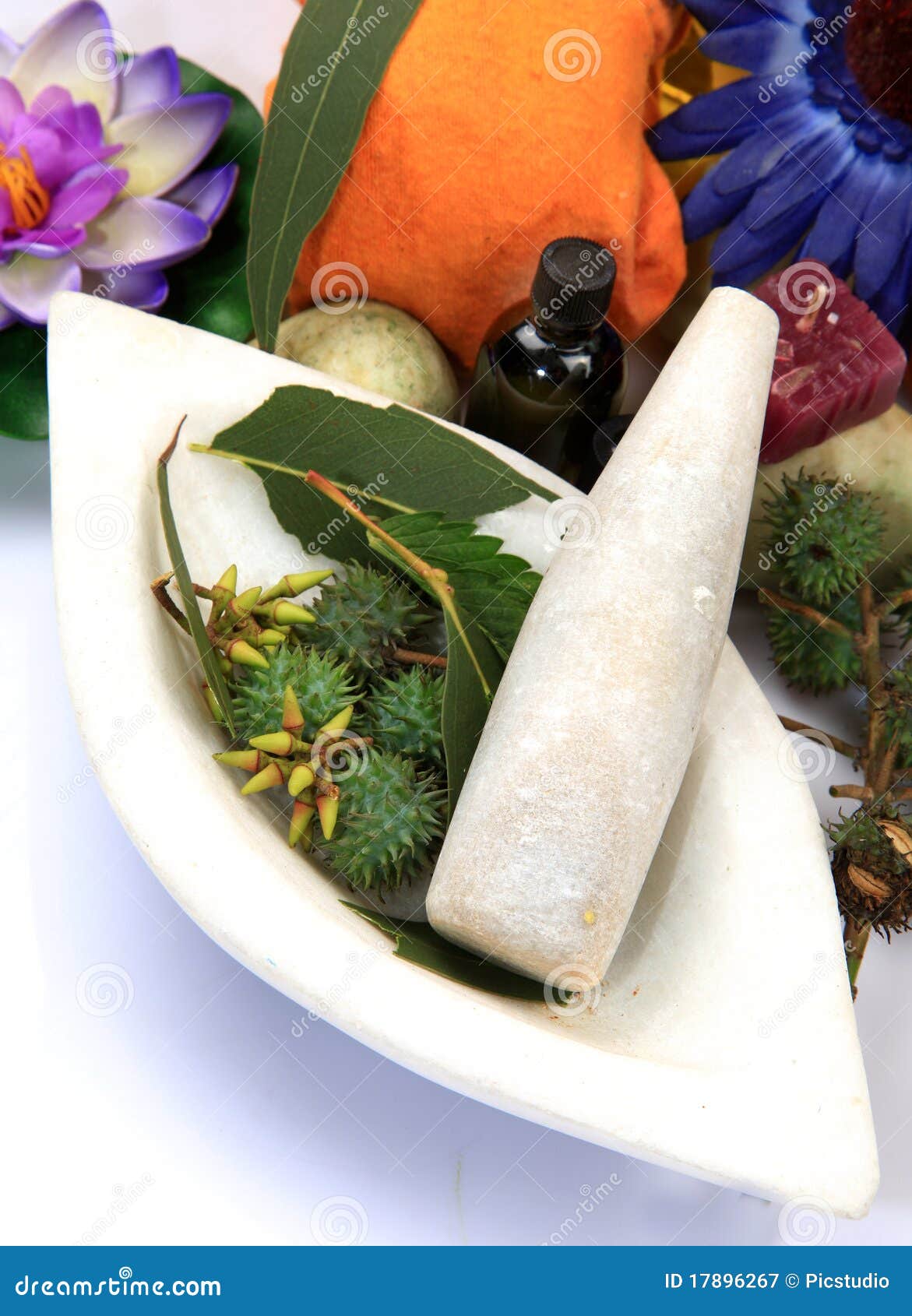 Ayurveda image stock. Image du isolement, studio, installé 17896267