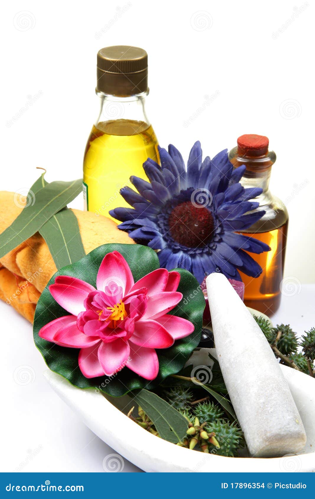 Ayurveda stock photo. Image of plants, ayurveda, indian 17896354
