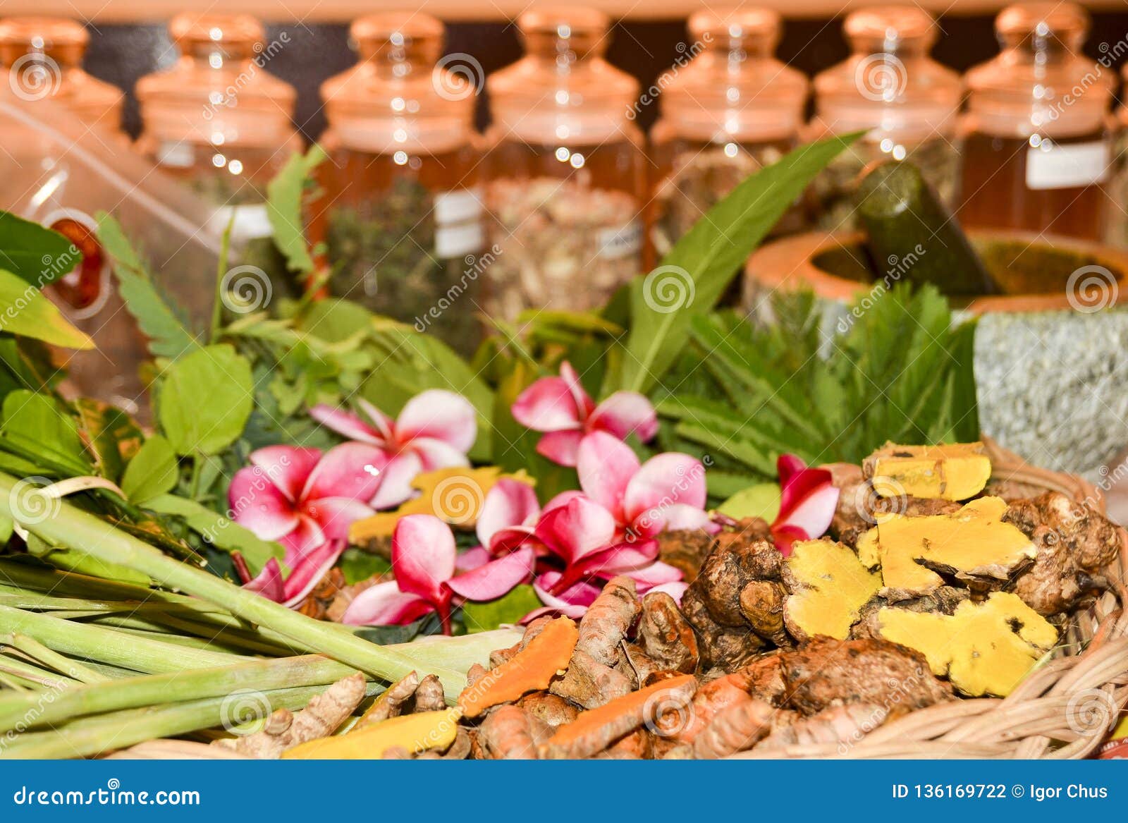 Ayurveda Herbs and Roots for Treatment 2019 Stock Photo Image of
