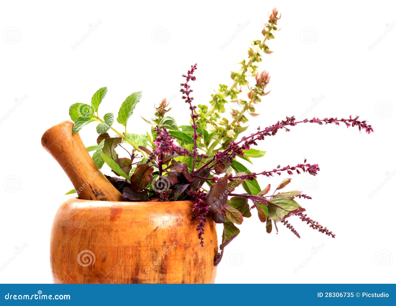Ayurveda plants stock image. Image of treatment, ayurveda 28306735