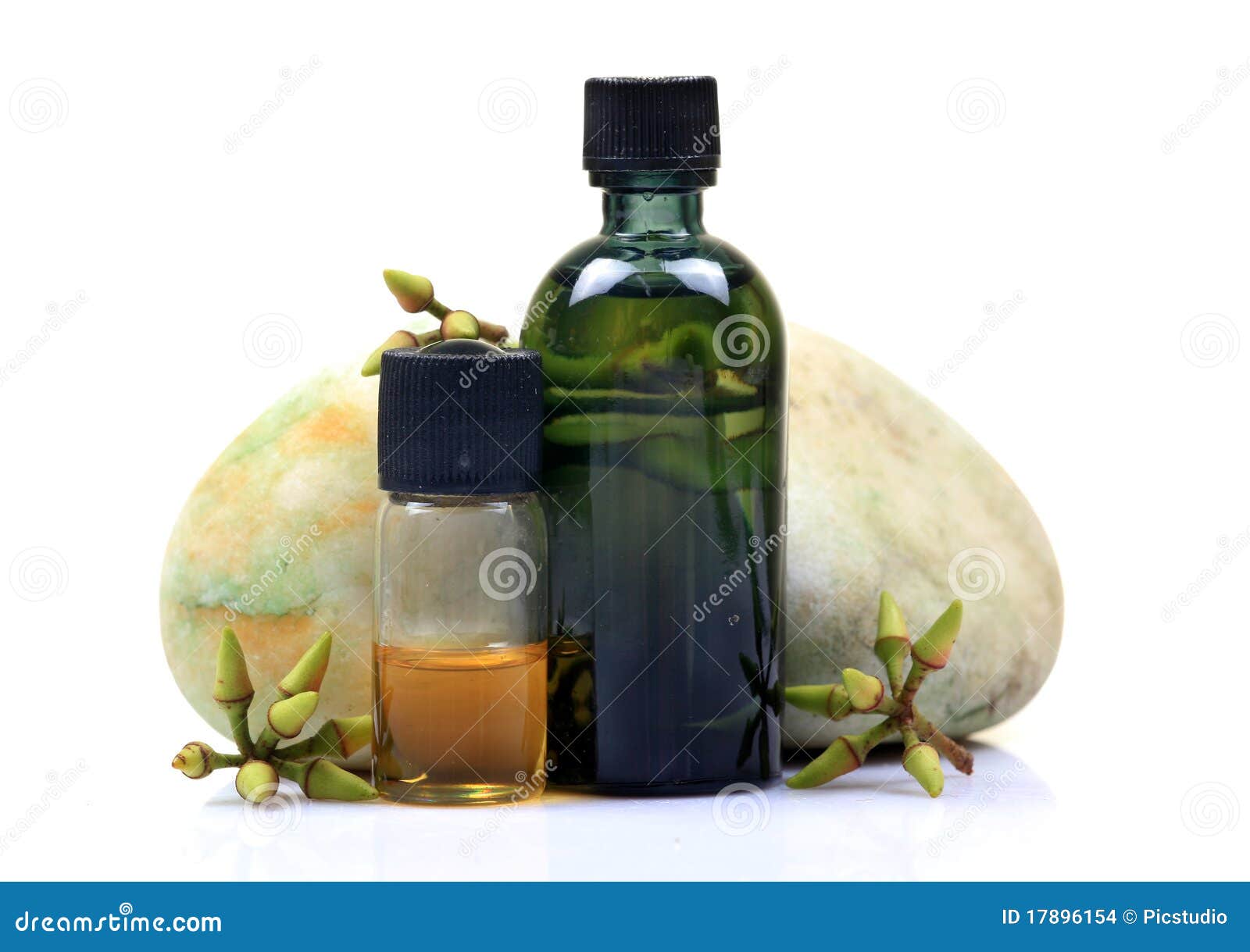 Ayurvedic Eucalyptus Oil Bottles Stock Photo Image of ayurvedic