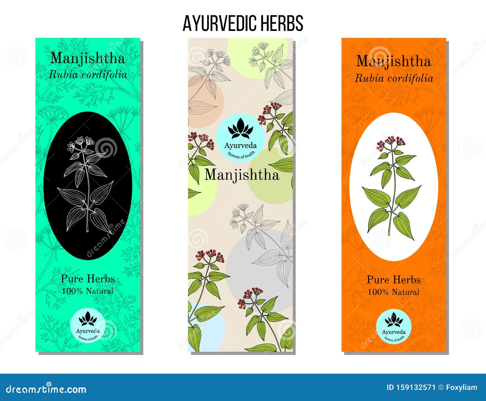 ayurvedic herbs banners. manjistha rubia cordifolia , or indian madder, medicinal plant