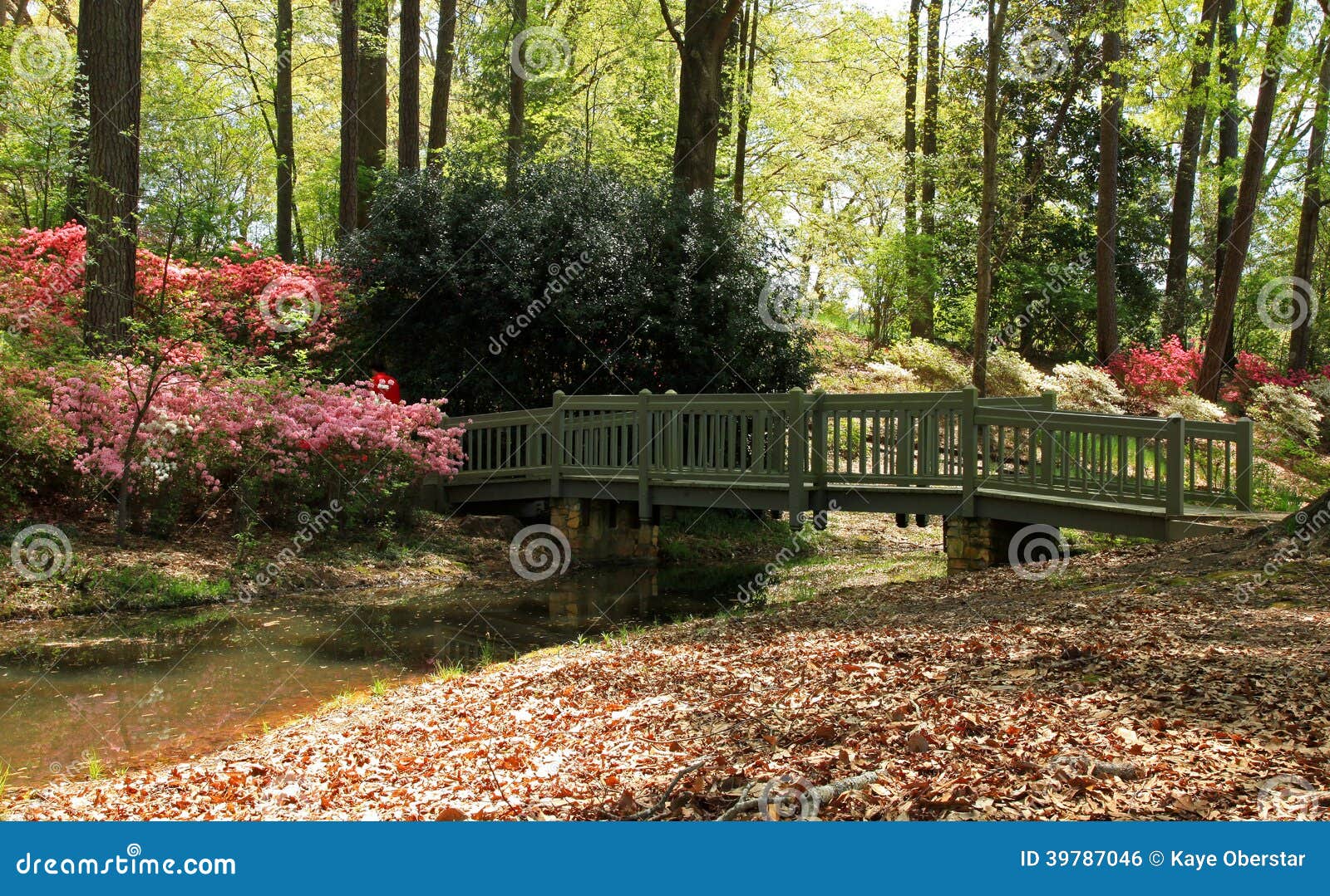 azaleas at callaway gardens