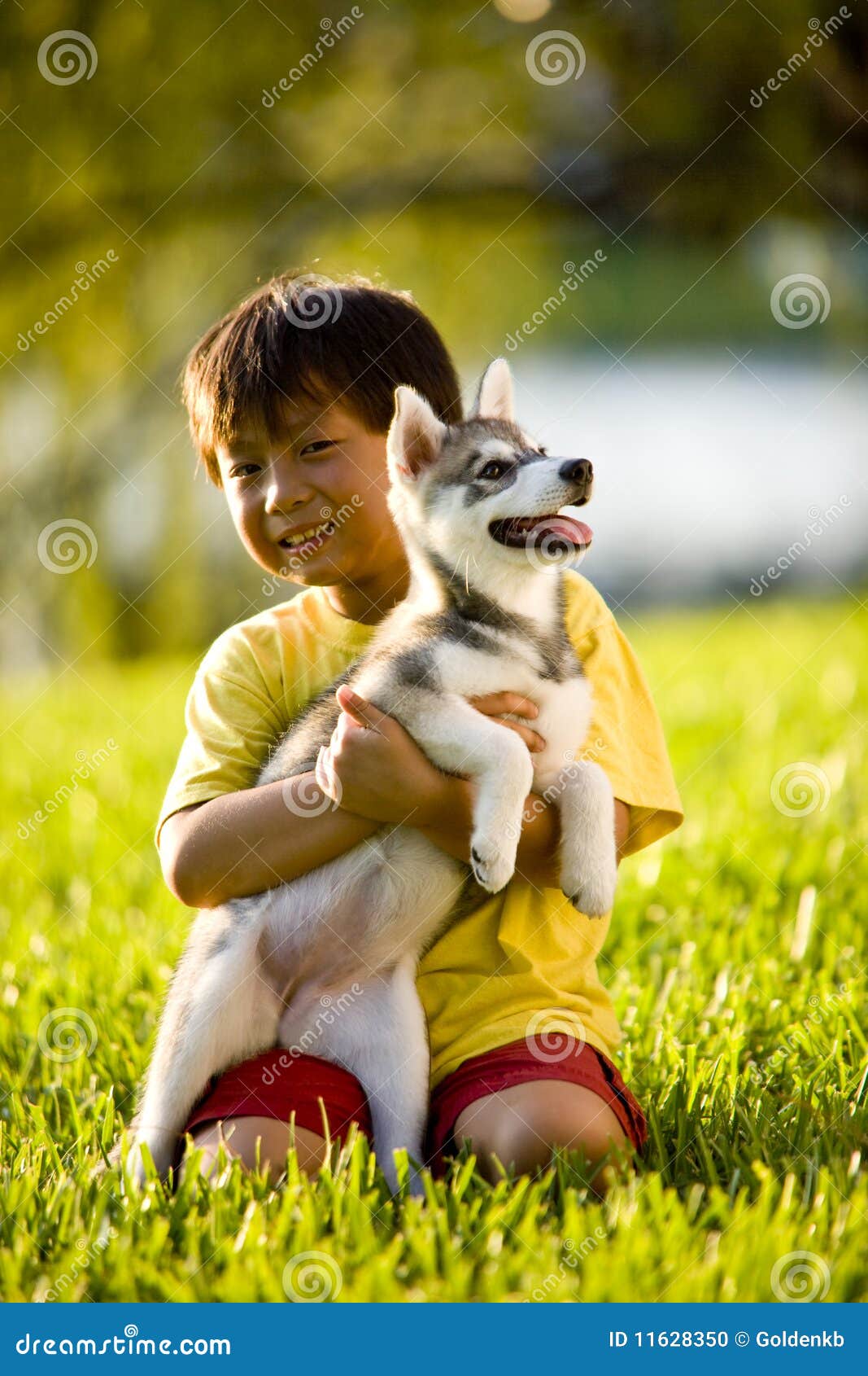 Azjatykciego chłopiec trawy przytulenia szczeniaka siedzący potomstwa. Alaskiego azjatykciego chłopiec trawy mienia kai klee szczeniaka siedzący potomstwa