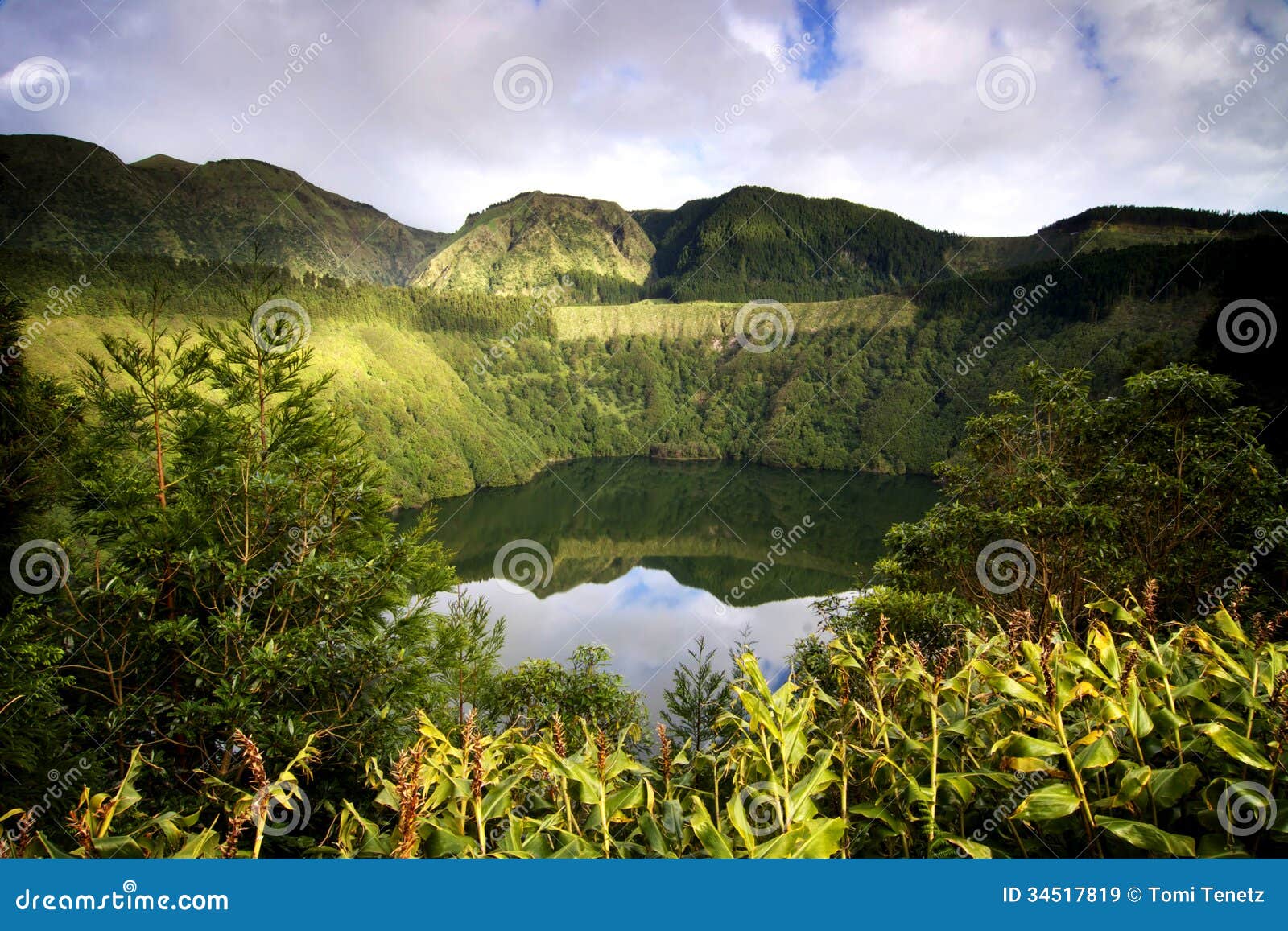 azores: green island