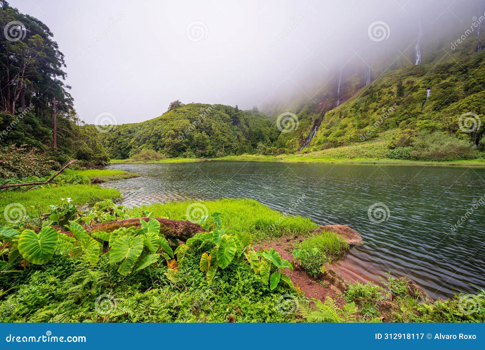 azores scenic landscape, flores island. iconic lagoon with several waterfalls on a single rockface, flowing into lake alagoinha
