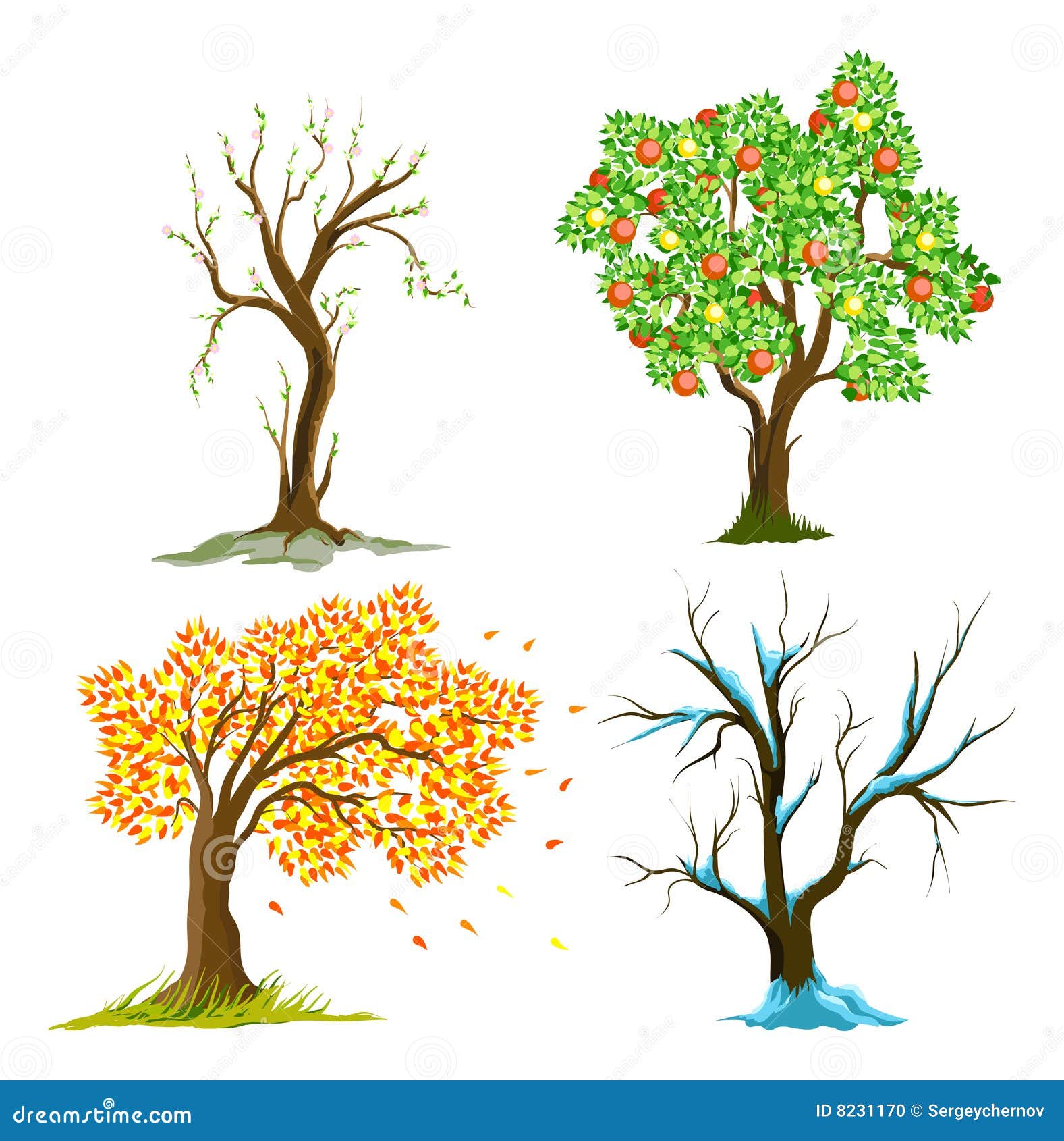 bäume in den jahreszeiten vektor abbildung. illustration