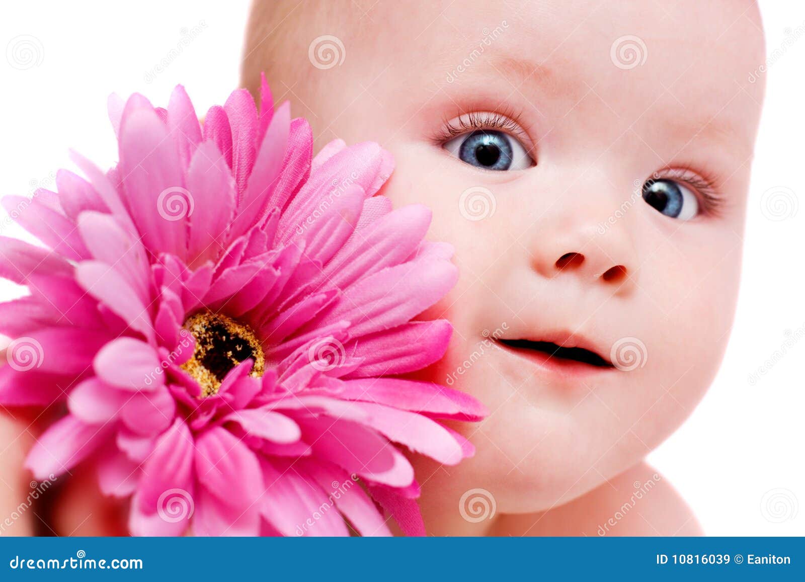 Bebe Avec La Fleur Image Stock Image Du Enfant Visage