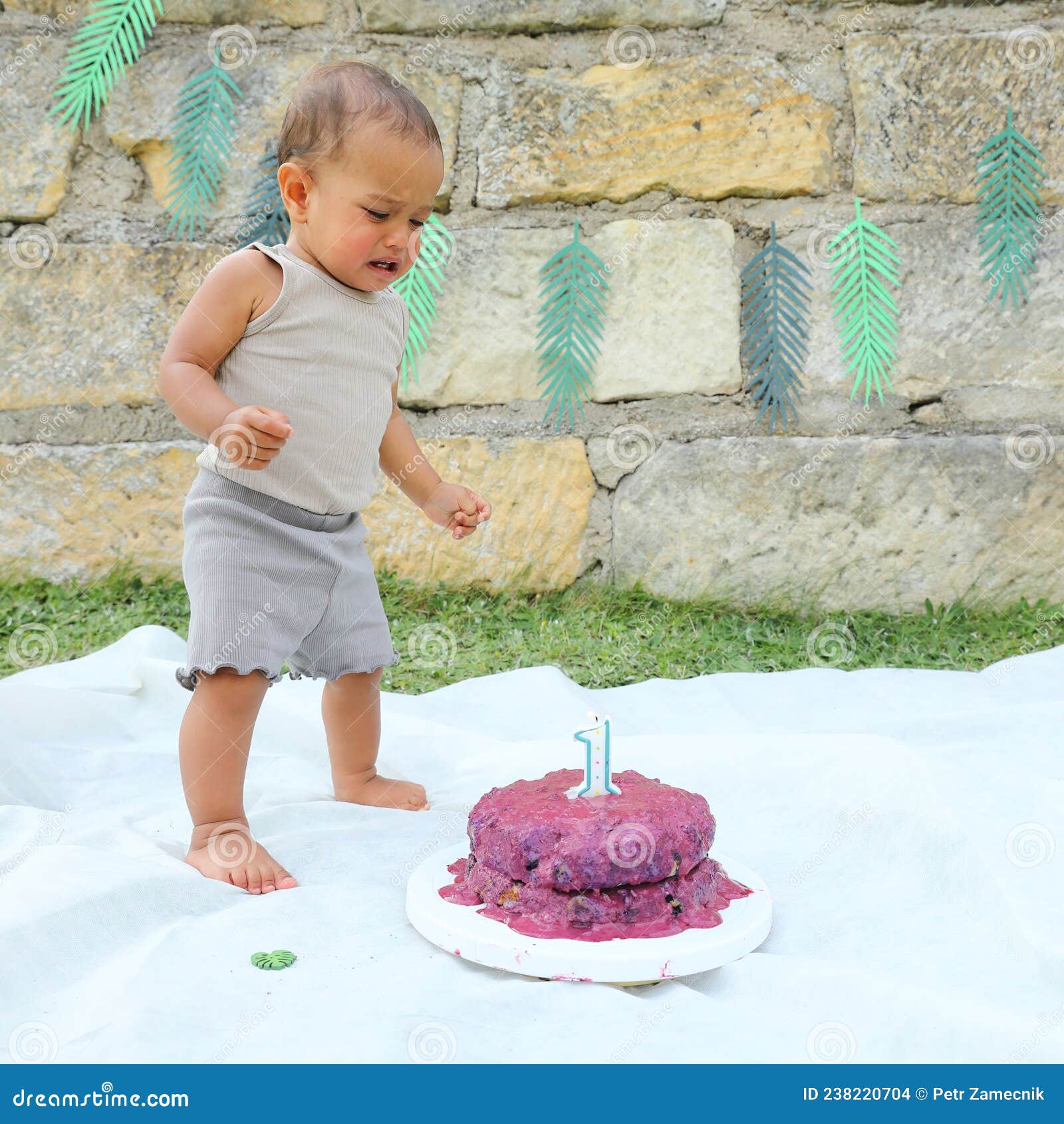 Bébé Garçon Pleurant Au-dessus Du Gâteau De Premier Anniversaire