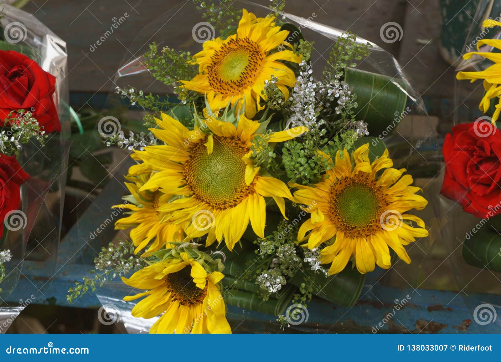 Sunflowers for Sale of Flowers Stock Image Image of summer, spring