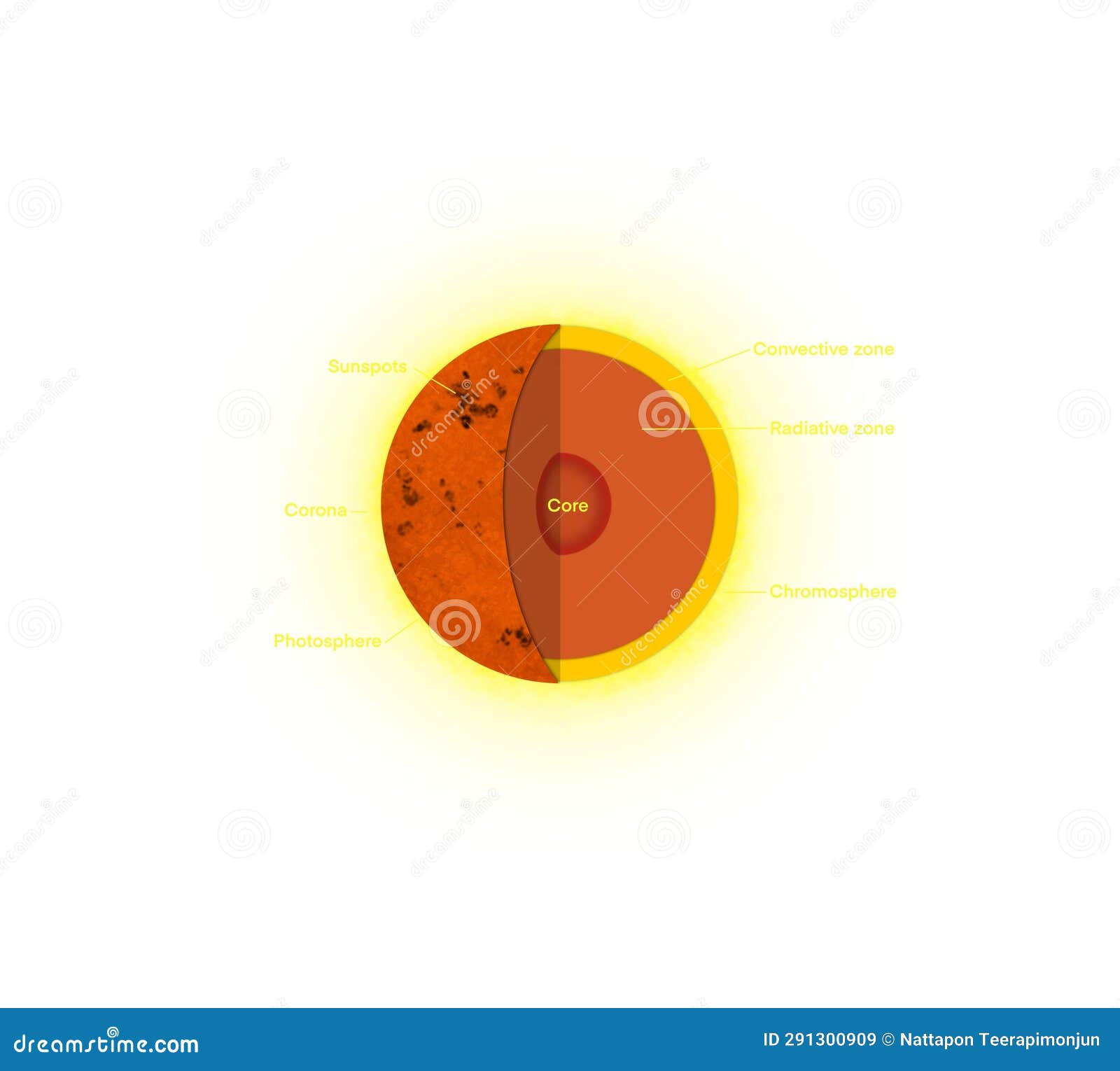 Anatomy of the Sun, the Sun is Basically a Giant Ball of Gas and Plasma