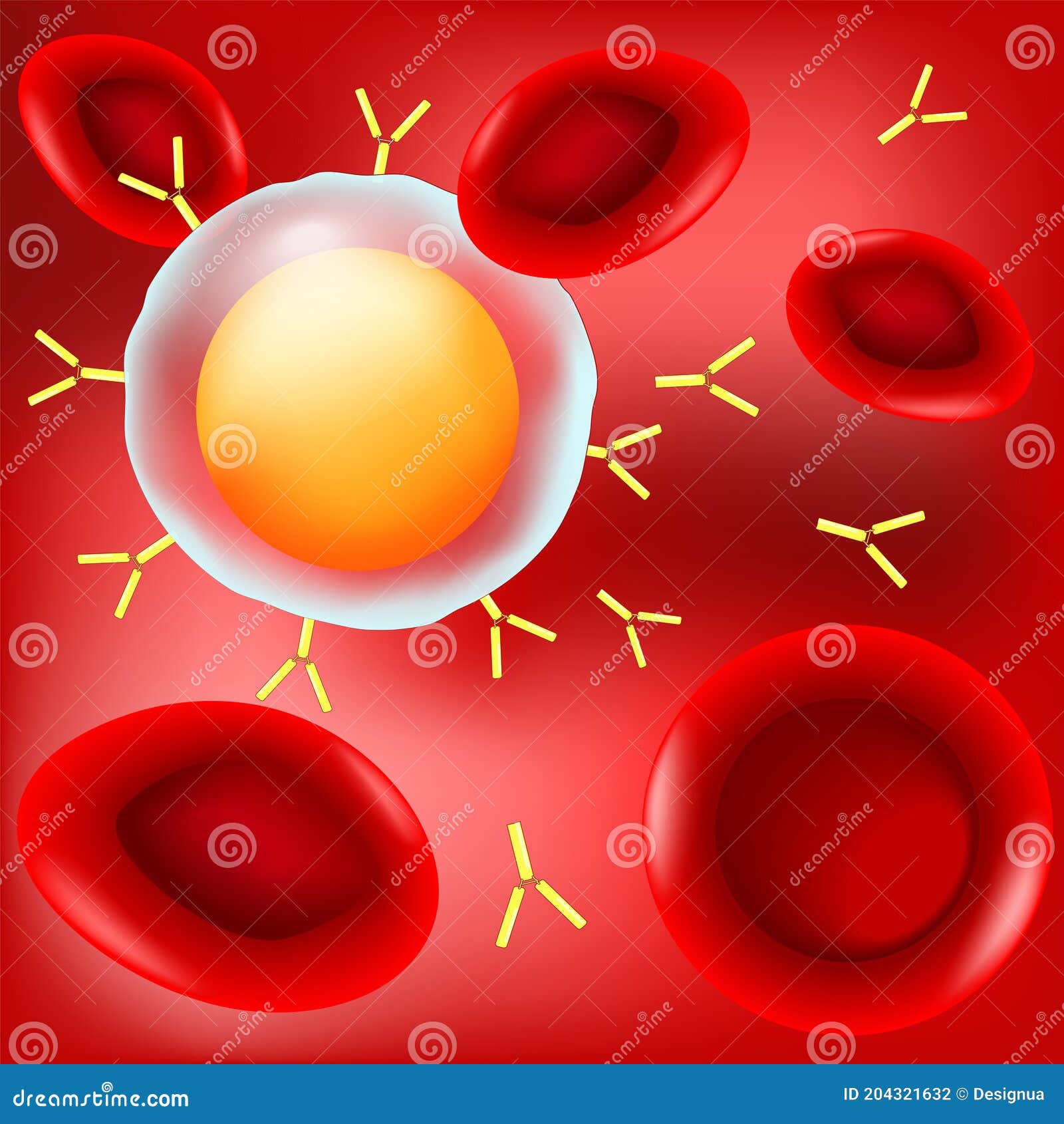 b-cell, antibodies, and red blood cells in blood flow on red background