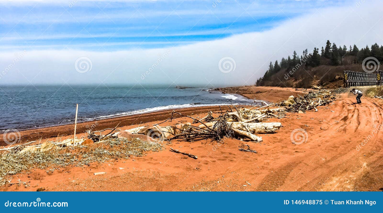 Download Gratuito de Fotos de Baía de Fundy, no Canadá