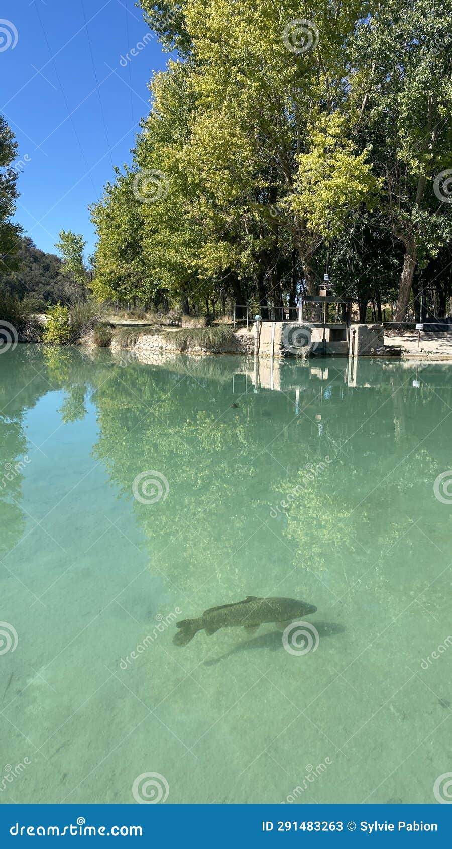 baÃ±os de las mulas in lagunas de ruidera in castilla la mancha, spain.