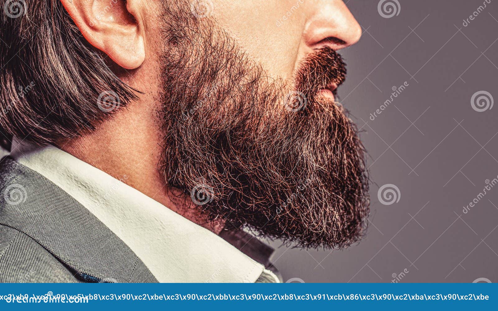 aspect Dierbare kroon Baard is Zijn Stijl. Man Dichtbij. Perfecte Baard. Sluiting Van Een Jonge  Man Met Baarden Stock Foto - Image of manier, levensstijl: 209224892