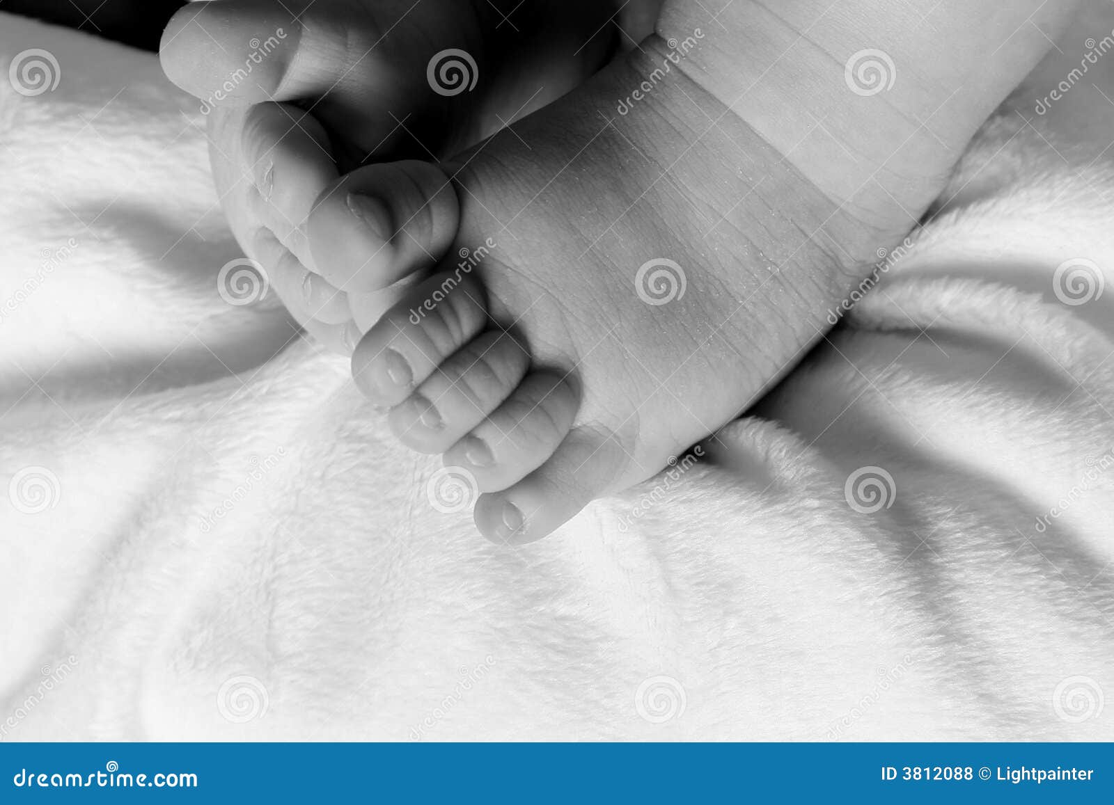 Babies feet stock photo. Image of foot, rest, smooth, feet 3812088