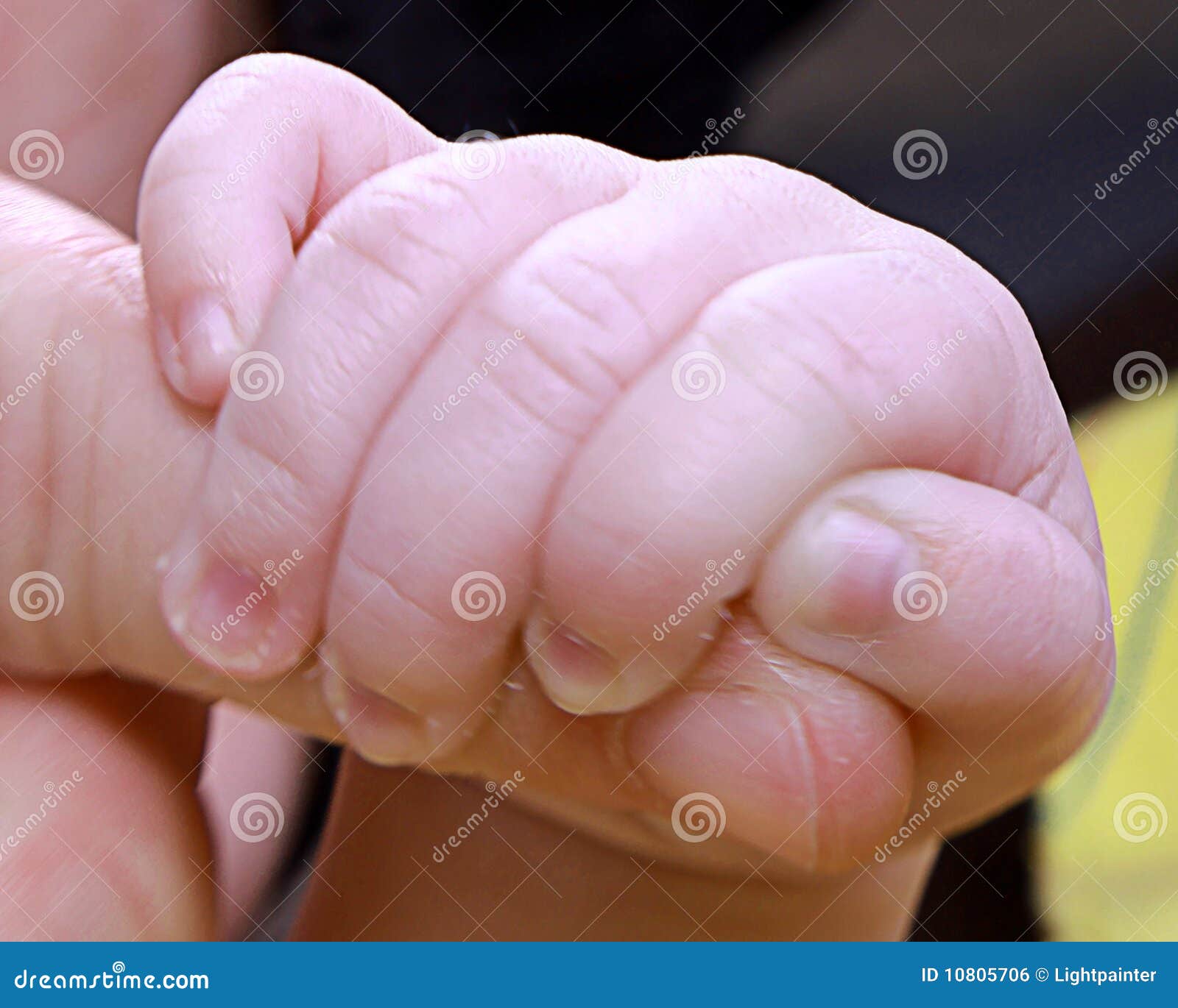 Babies hand stock photo. Image of white, rest, fondness 10805706