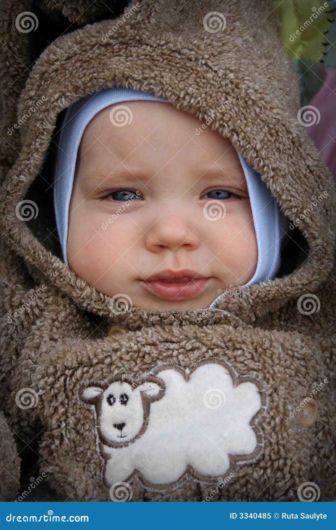 Baby stock image. Image of brown, sheep, baby, infant 3340485