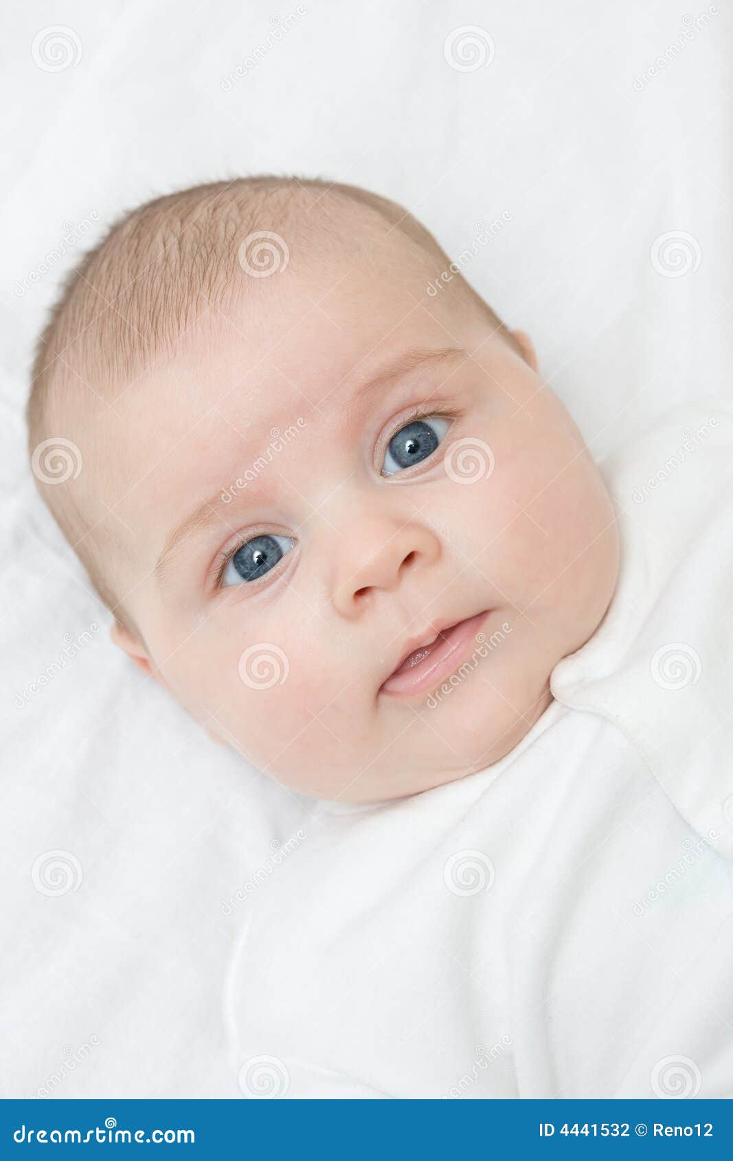 Baby stock photo. Image of head, little, sweet, baby, adorable 4441532