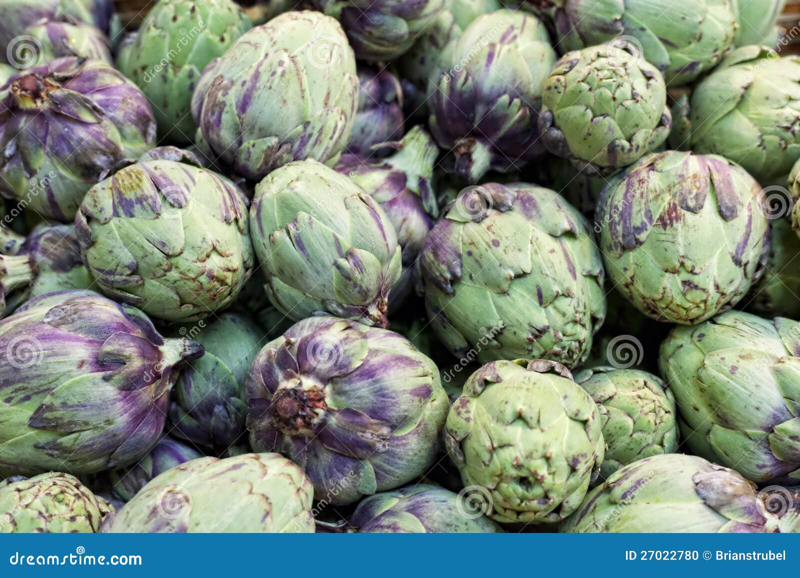 Baby Artichokes stock photo. Image of baby, fresh, artichokes 27022780