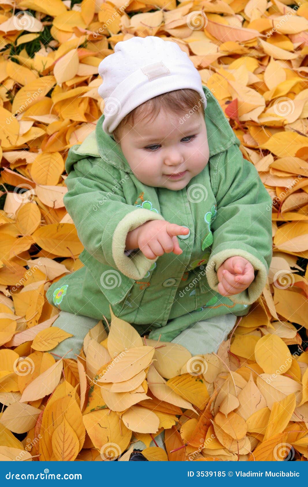 Baby in autumn leaves stock image. Image of happy, child 3539185