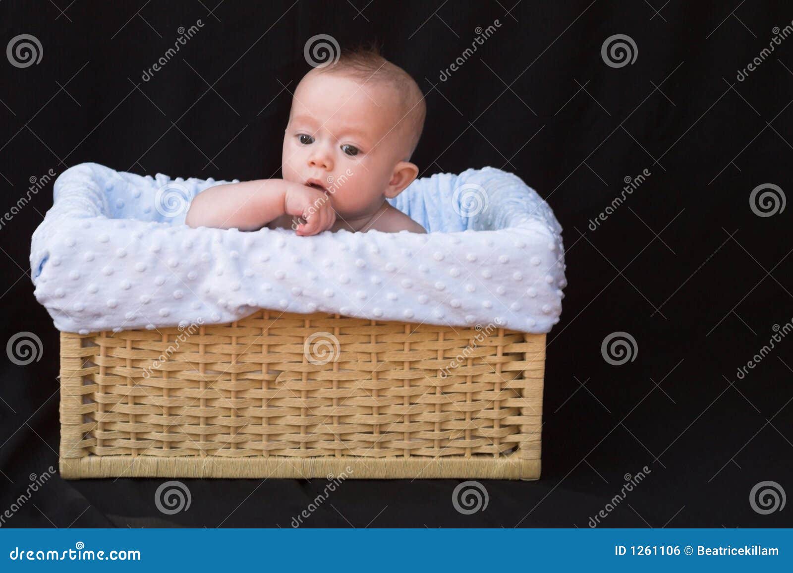 Baby in Basket stock photo. Image of blue, innocence, black 1261106