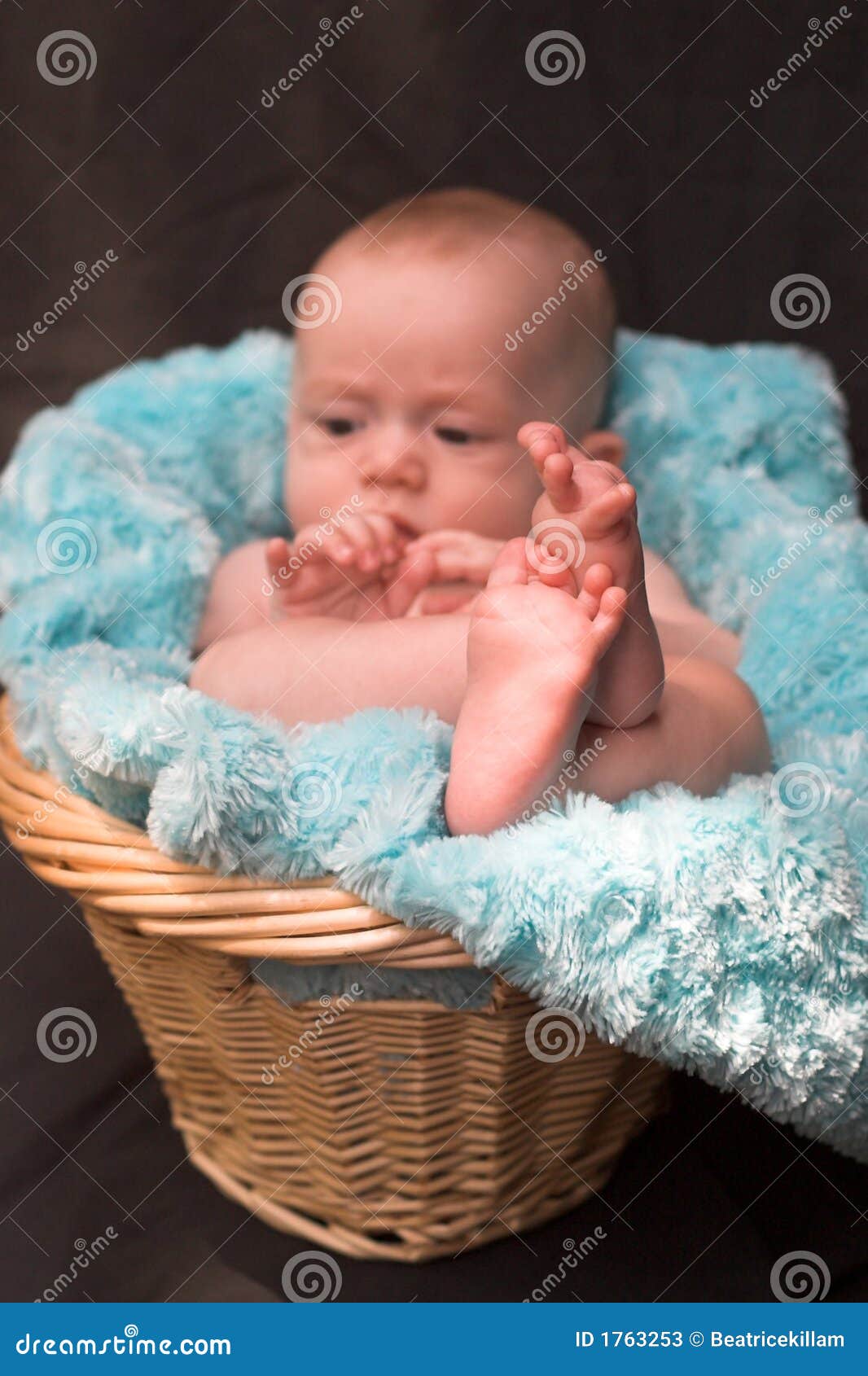 Baby in Basket stock image. Image of infant, handsome 1763253