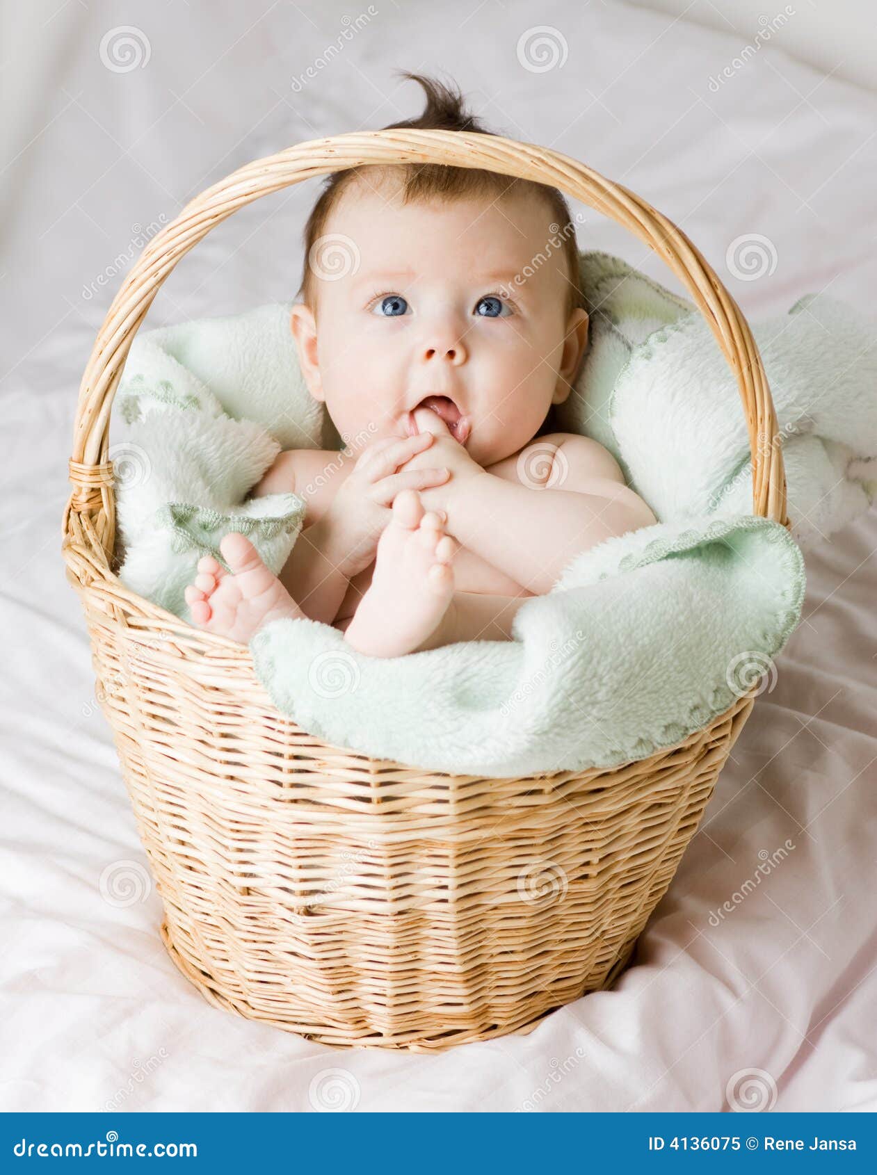 newborn baby in basket